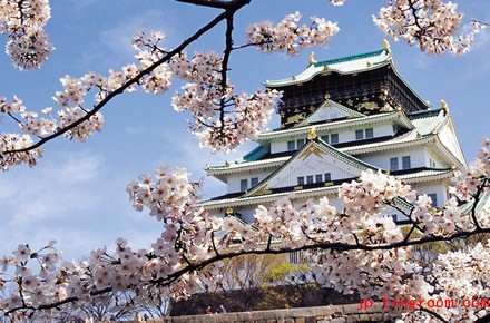 日本留学：各类院校对日语的要求