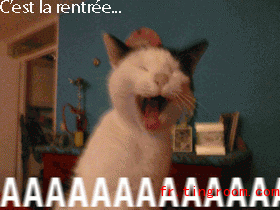 chat-rentree