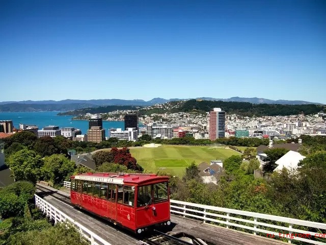 新西兰首都惠灵顿.webp