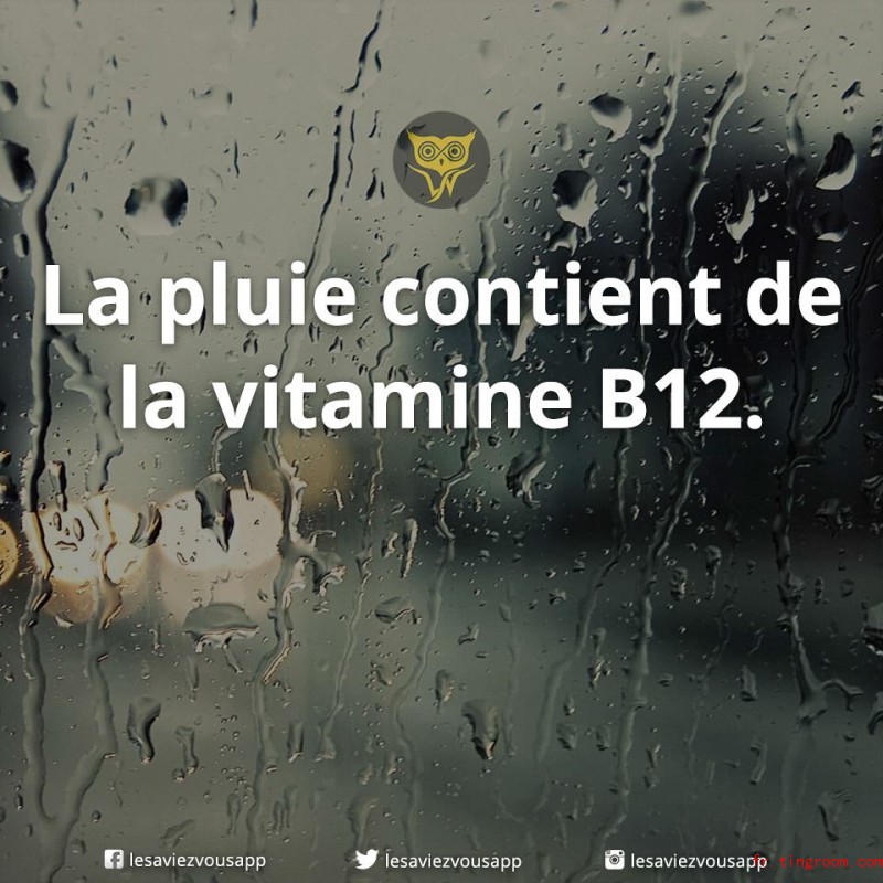 La plus co<em></em>ntient vitamine B12