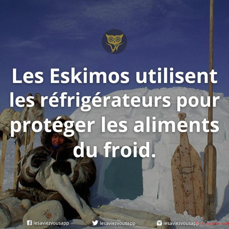 Les réfrigérateurs des Eskimos