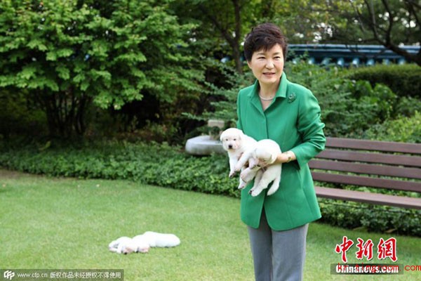 朴槿惠被指涉嫌虐待动物。