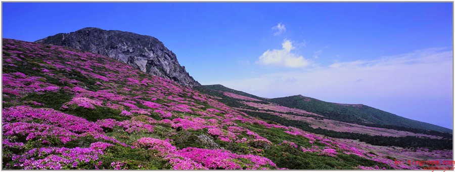 한라산에