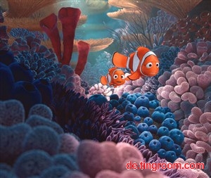Vater und Sohn Clownfisch, hier (noch) fröhlich vereint in "Findet Nemo 3-D".
