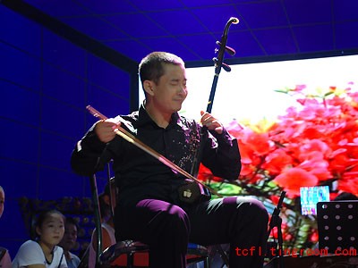 Traditional Chinese Musical Instrument - Erhu 二胡_Traditional Chinese ...