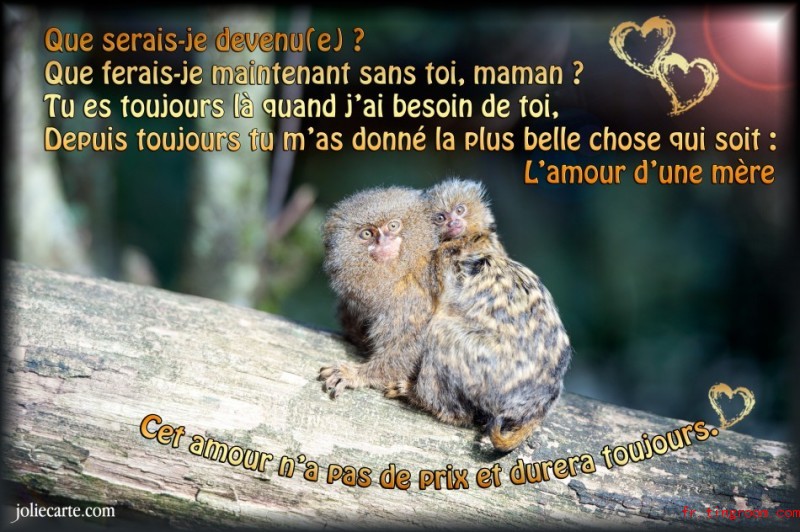 【贺卡】母亲节的祝福 21_图文法语_趣味法语_法语学习网