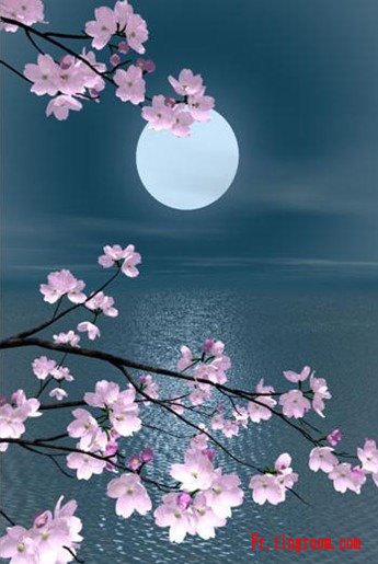 诗词【中秋】_有趣法语_趣味法语_法语学习网